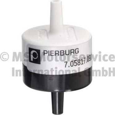 Pierburg 7.05817.09.0 - Клапан, система вторичного воздуха autodif.ru