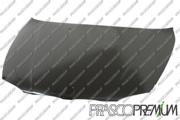 Prasco BM1203100 - Капот двигателя autodif.ru