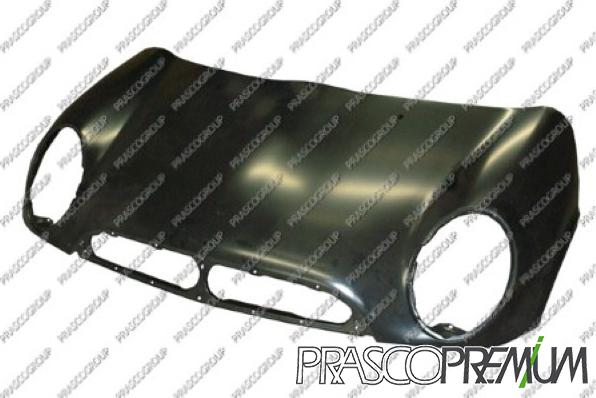 Prasco MN3043100 - Капот двигателя autodif.ru