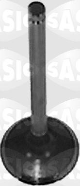 Sasic 9480720 - Впускной клапан autodif.ru