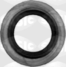 Sasic 1640540 - Уплотнительное кольцо, резьбовая пробка маслосливного отверстия autodif.ru