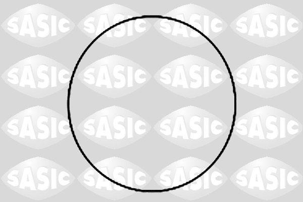 Sasic 1120780 - Комплект прокладок, гильза цилиндра autodif.ru