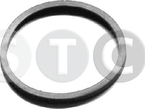 STC T402404 - Прокладка, термостат autodif.ru