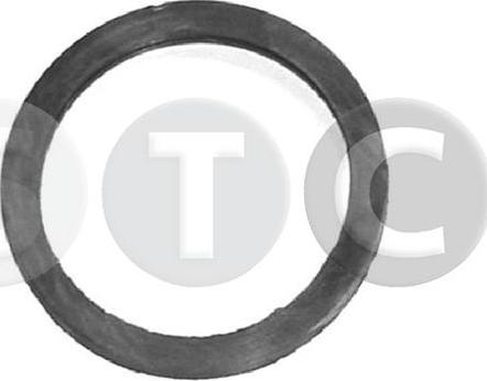STC T402362 - Прокладка, термостат autodif.ru