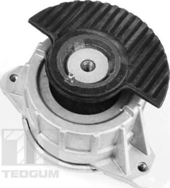 Tedgum 00418476 - Подушка, опора, подвеска двигателя autodif.ru