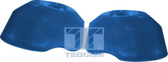 Tedgum 00289205 - Подушка, опора, подвеска двигателя autodif.ru