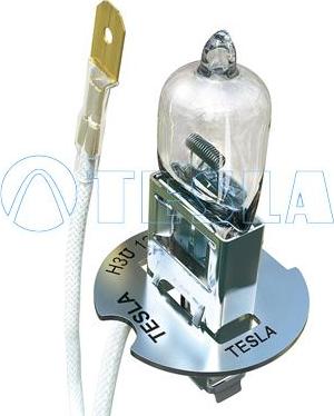 TESLA B10301 - Лампа накаливания, фара дальнего света autodif.ru