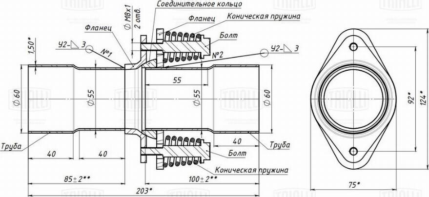 Trialli EPCD 5560 - Соединитель труб выхлопной системы TRIALLI переход с 55мм на 60мм (демпферное с кольцом) autodif.ru