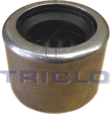 Triclo 625077 - Подшипник, ступенчатая коробка передач autodif.ru