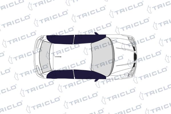 Triclo 125023 - Ручка двери autodif.ru