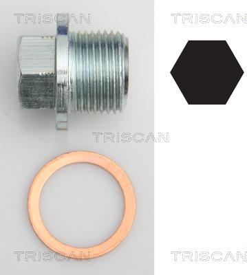 Triscan 9500 1022 - Резьбовая пробка, масляный поддон autodif.ru