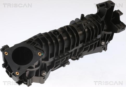 Triscan 8910 11101 - Впускная труба, подвод воздуха autodif.ru
