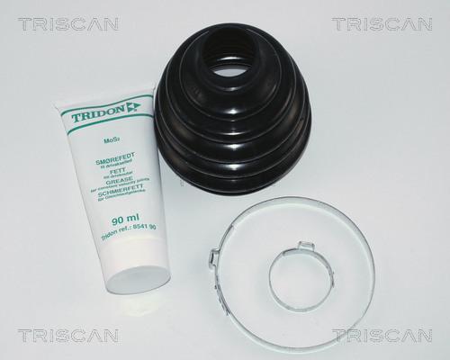 Triscan 8540 16802 - Пыльник, приводной вал autodif.ru