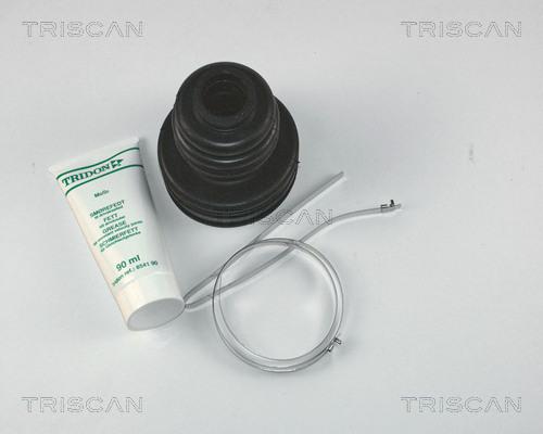 Triscan 8540 13901 - Пыльник, приводной вал autodif.ru