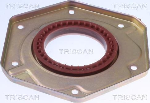 Triscan 8550 10096 - Уплотняющее кольцо, коленчатый вал autodif.ru