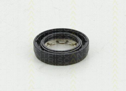 Triscan 8550 10043 - Уплотняющее кольцо, дифференциал autodif.ru