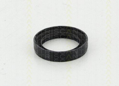 Triscan 8550 10050 - Уплотняющее кольцо, коленчатый вал autodif.ru