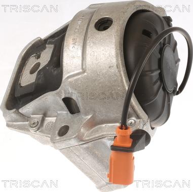 Triscan 8505 29178 - Подушка, опора, подвеска двигателя autodif.ru