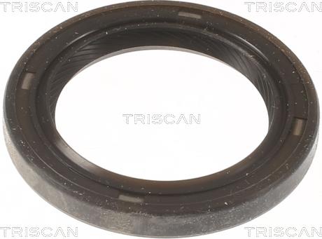 Triscan 864810011 - Уплотняющее кольцо, коленчатый вал autodif.ru