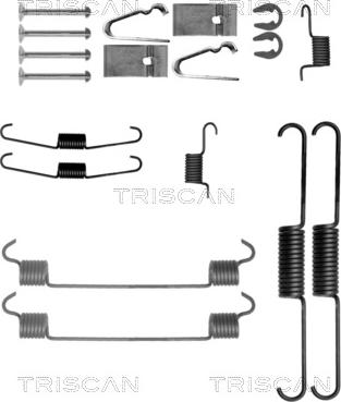 Triscan 8105 691624 - Комплектующие, барабанный тормозной механизм autodif.ru