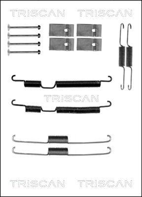 Triscan 8105 182008 - Комплектующие, барабанный тормозной механизм autodif.ru