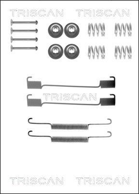 Triscan 8105 172465 - Комплектующие, барабанный тормозной механизм autodif.ru