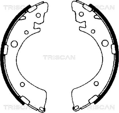 Triscan 8100 40441 - Комплект тормозных колодок, барабанные autodif.ru