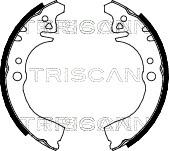 Triscan 8100 41497 - Комплект тормозных колодок, барабанные autodif.ru