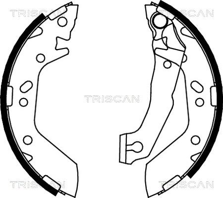 Triscan 8100 43012 - Комплект тормозных колодок, барабанные autodif.ru