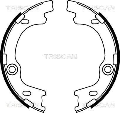 Triscan 8100 43021 - Комплект тормозных колодок, барабанные autodif.ru