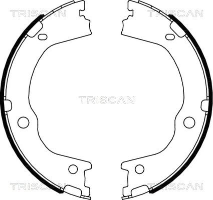 Triscan 8100 43027 - Комплект тормозных колодок, барабанные autodif.ru