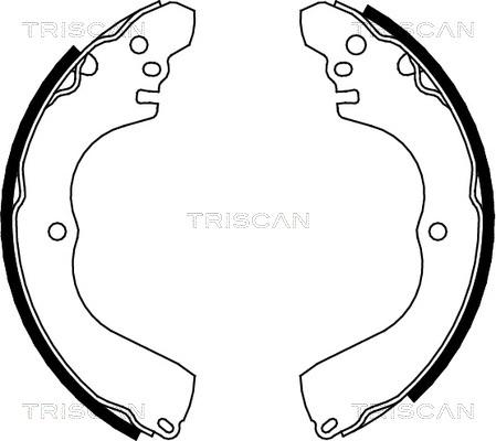 Triscan 8100 42017 - Комплект тормозных колодок, барабанные autodif.ru