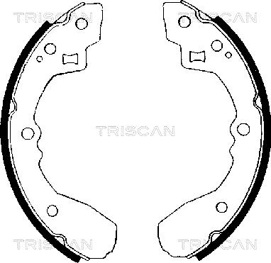 Triscan 8100 50406 - Комплект тормозных колодок, барабанные autodif.ru