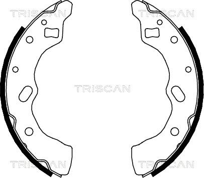 Triscan 8100 50556 - Комплект тормозных колодок, барабанные autodif.ru