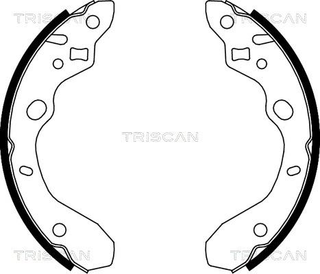 Triscan 8100 50611 - Комплект тормозных колодок, барабанные autodif.ru
