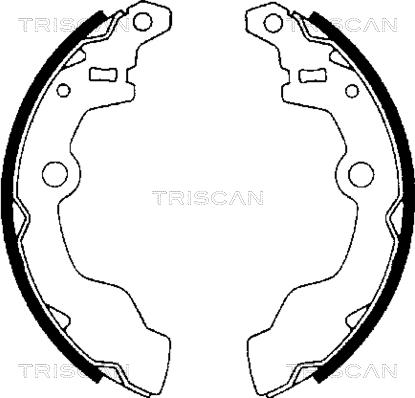 Triscan 8100 69002 - Комплект тормозных колодок, барабанные autodif.ru