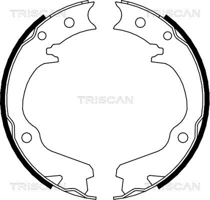 Triscan 8100 68001 - Комплект тормозных колодок, барабанные autodif.ru