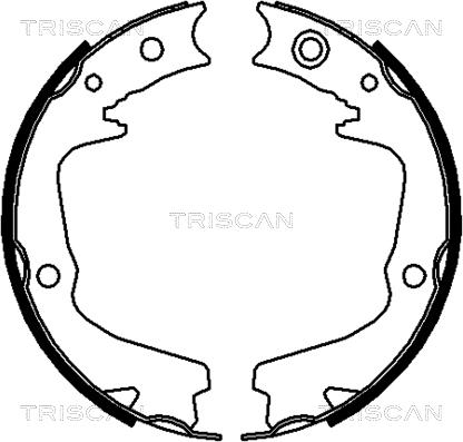 Triscan 8100 68002 - Комплект тормозных колодок, барабанные autodif.ru