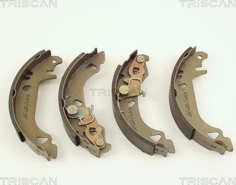 Triscan 8100 15547 - Комплект тормозных колодок, барабанные autodif.ru