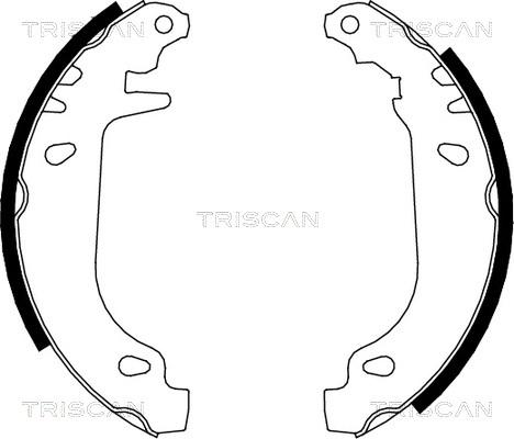 Triscan 8100 10545 - Комплект тормозных колодок, барабанные autodif.ru