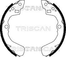 Triscan 8100 10524 - Комплект тормозных колодок, барабанные autodif.ru