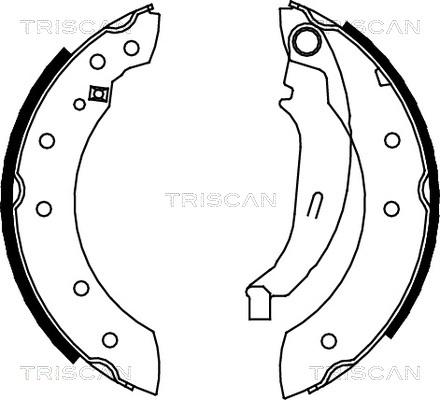 Triscan 8100 10572 - Комплект тормозных колодок, барабанные autodif.ru