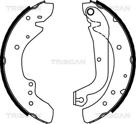 Triscan 8100 10577 - Комплект тормозных колодок, барабанные autodif.ru