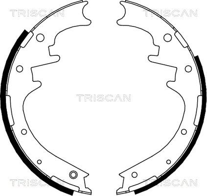 Triscan 8100 10016 - Комплект тормозных колодок, барабанные autodif.ru