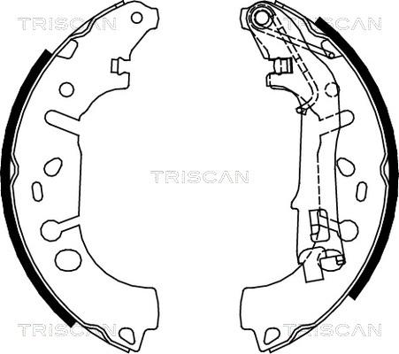 Triscan 8100 10012 - Комплект тормозных колодок, барабанные autodif.ru
