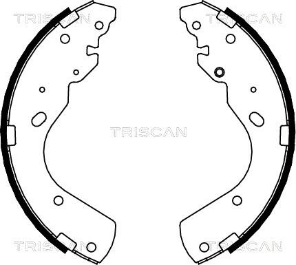 Triscan 8100 10017 - Комплект тормозных колодок, барабанные autodif.ru