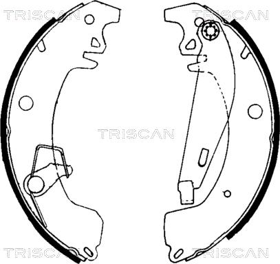Triscan 8100 10031 - Комплект тормозных колодок, барабанные autodif.ru
