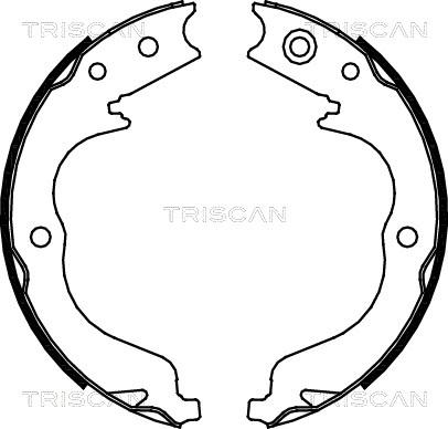 Triscan 8100 10029 - Комплект тормозных колодок, барабанные autodif.ru
