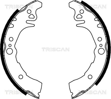 Triscan 8100 10026 - Комплект тормозных колодок, барабанные autodif.ru