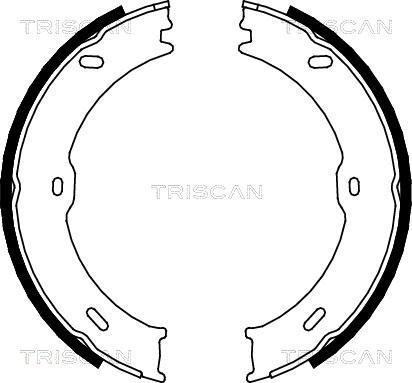 Triscan 8100 10023 - Комплект тормозных колодок, барабанные autodif.ru